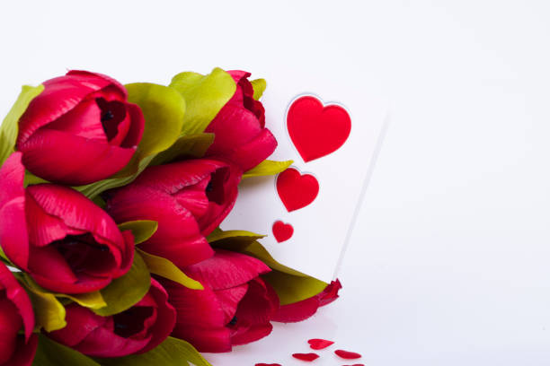 Abstract colorful tulip petals flowers heart shaped on white isolated background. Macro frame. Holiday flower card concept.
