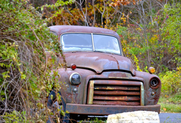 istock The beautiful of yesteryear 641692786