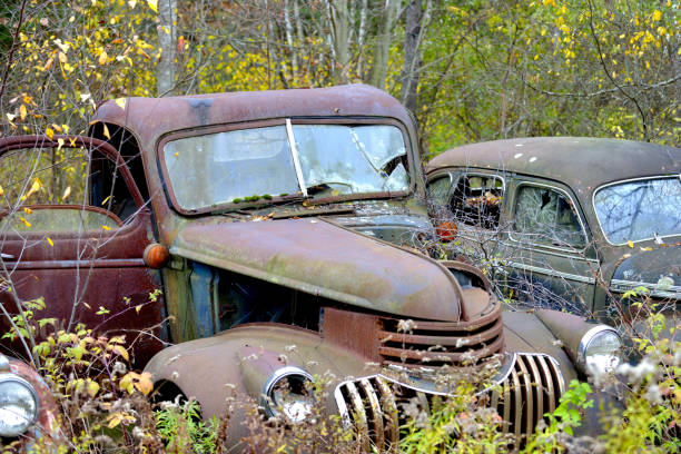 istock The beautiful of yesteryear 641692820