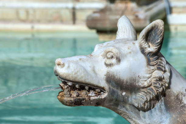 istock Wolf Spouting Water Fonte Gaia Siena 641693258