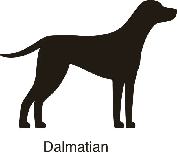 Vector illustration of Dalmatian dog silhouette, side view, vector