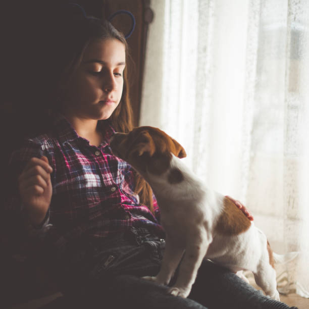 istock Girl with her dog 641708408