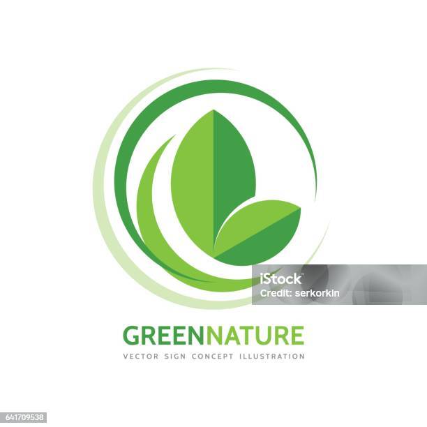 Grüne Natur Business Logo Vorlage Konzept Vektorgrafik Blätter Und Designelemente Bioprodukt Stock Vektor Art und mehr Bilder von Logo