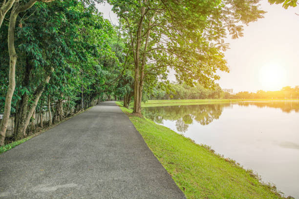 istock road by the lake 641710260