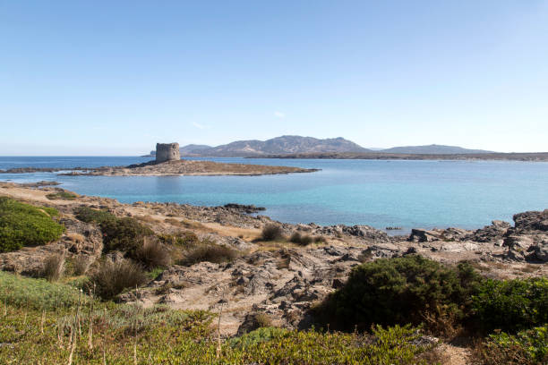 istock La Pelosa, Sardinia 641711046
