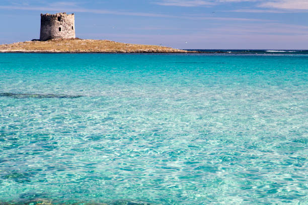 istock La Pelosa, Sardinia 641711450
