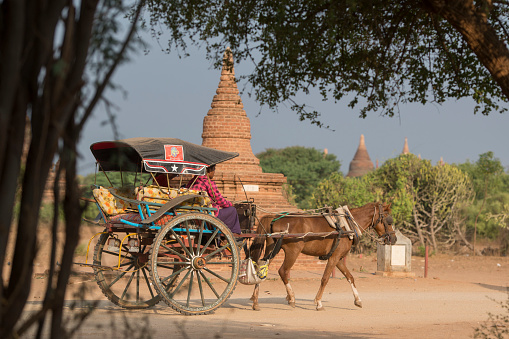 Tourists in a Oxcart Taxi in front Temple and Pagoda Fields in Bagan in Myanmar in Southeastasia.