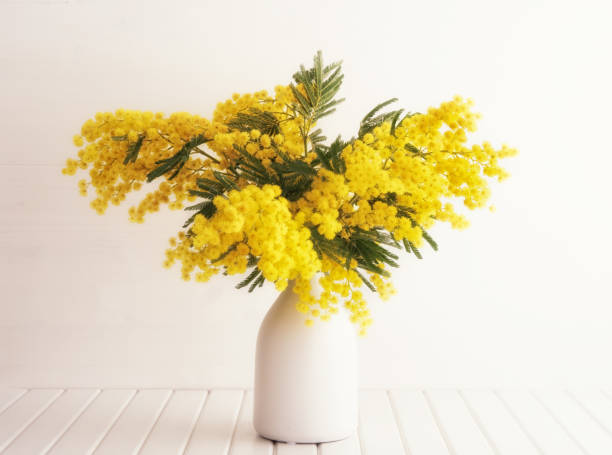 istock Vase with mimosa flowers 641722984