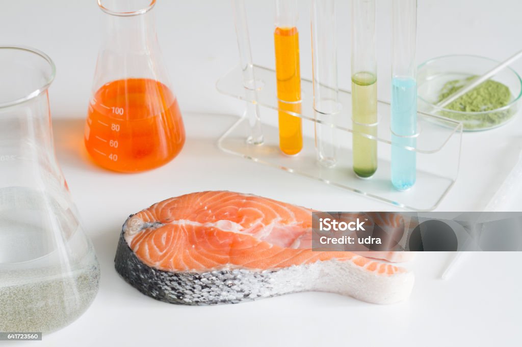 Test salmon fish in laboratory control of mercury and toxic dye Test salmon fish in laboratory control of mercury and toxic dye closeup Mercury - Metal Stock Photo