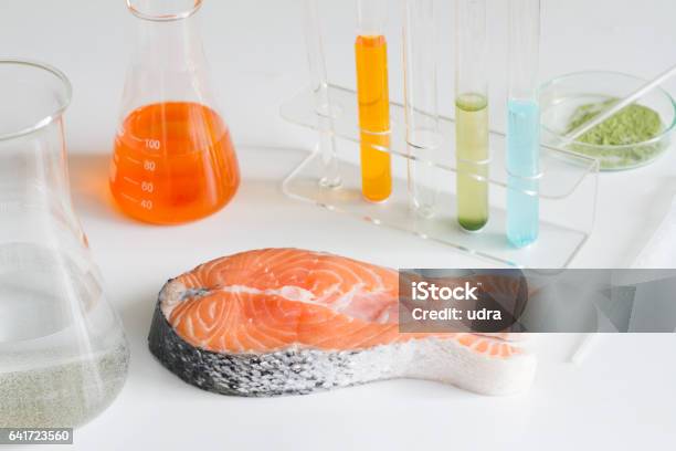 Test Salmon Fish In Laboratory Control Of Mercury And Toxic Dye Stock Photo - Download Image Now