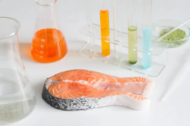 Test salmon fish in laboratory control of mercury and toxic dye closeup