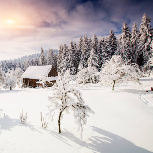 istock beautiful wooden house 641724098