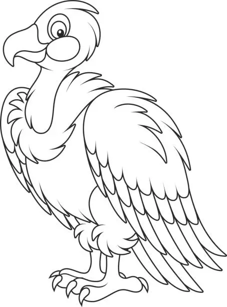 Vector illustration of Vulture