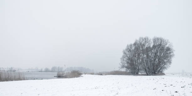 istock Cold winter landscape at the river IJssel in The Netherlands 641731244