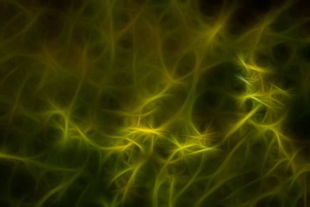 istock Abstract background is in green color 641734752