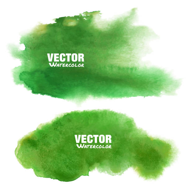 ilustraciones, imágenes clip art, dibujos animados e iconos de stock de conjunto de color verde brillante - grunge vector acuarela de resorte amarillo manchas aisladas sobre fondo blanco con textura acuarela papel realista. mancha de acuarela verde. desenfoque de elementos de diseño de dibujo de lavado. - acuarela en papel