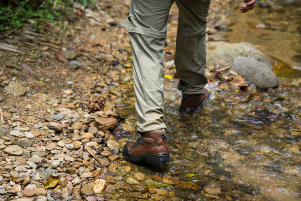 istock Hiking boots, hiker, tourism in mountains 641741282