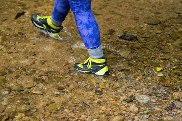 istock Hiking boots, hiker, tourism in mountains 641741384