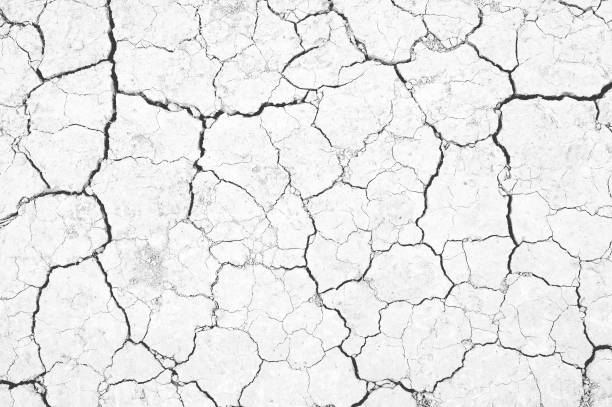 istock Black and white texture of cracked earth 641741562