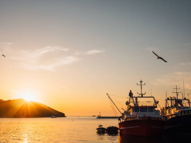istock Harbor at sunset in Vrsar Croatia 641742452