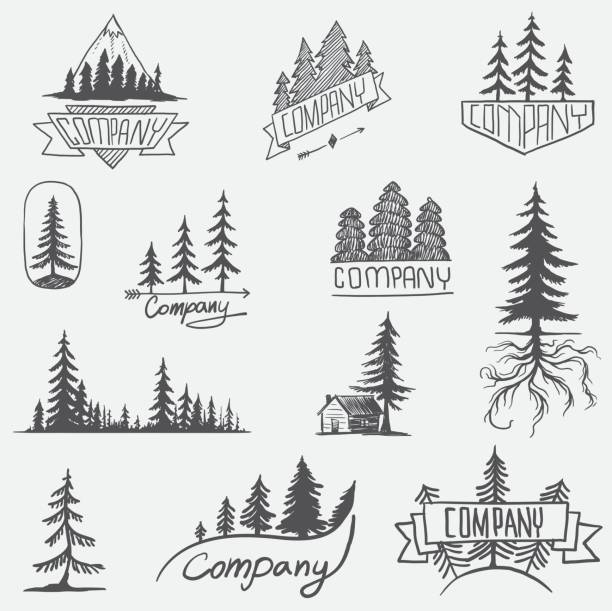 ilustrações de stock, clip art, desenhos animados e ícones de forest badge tree vector set isolated - forest tree nature wilderness area