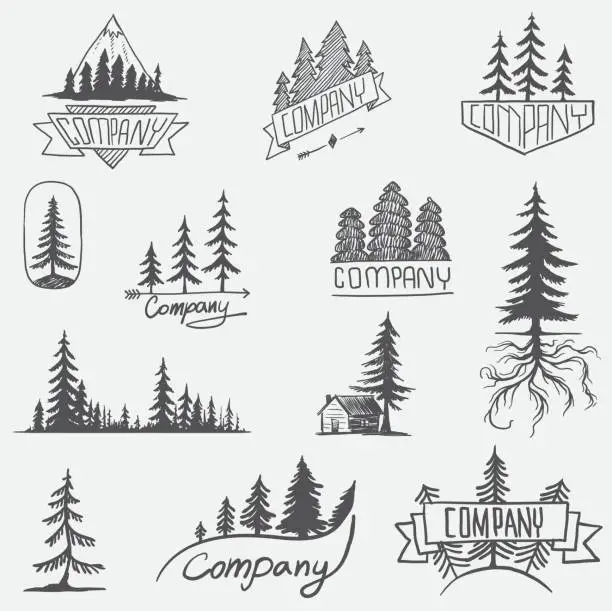 Vector illustration of Forest badge tree vector set isolated