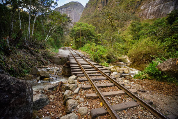 istock Railway track to Machu Picchu 641745052