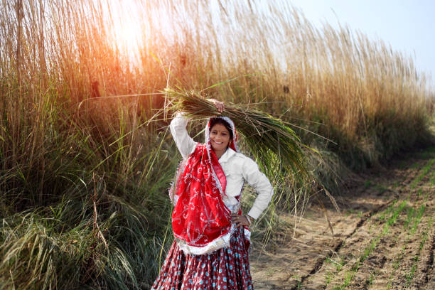 istock Cheerful women portrait in the field 641745246