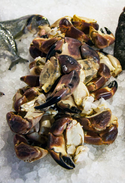 istock Seafood At Fish Market in Italy 641746528