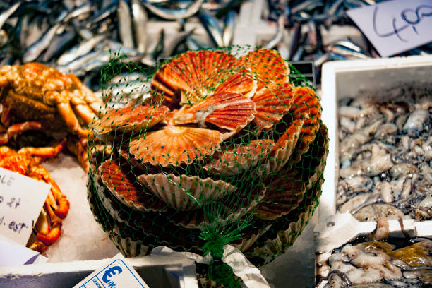 아름 다운 오렌지 조개, cockles 이탈리아의 생선 시장에서 - rialto bridge 뉴스 사진 이미지