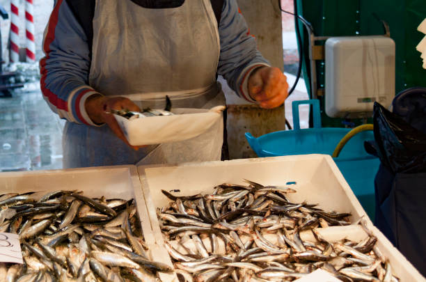 istock Close-up of fish and shrimps 641746790