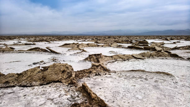Salt Lake Karum aka Assale or Asale , Danakil Afar Ethiopia Salt Lake Karum aka Lake Assale or Asale , Danakil Afar, Ethiopia dallol ethiopia stock pictures, royalty-free photos & images