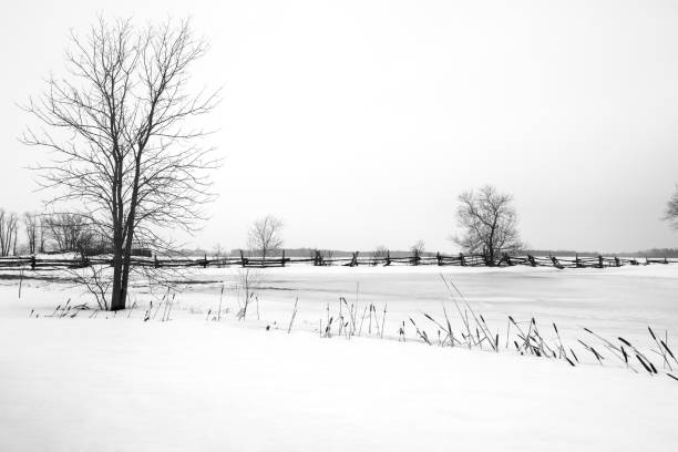 A trail along the lake in a winter public park in the city of Odessa, called Victory Park.