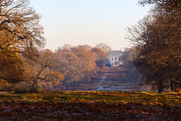 istock The royal ballet school in Richmond Park 641750678
