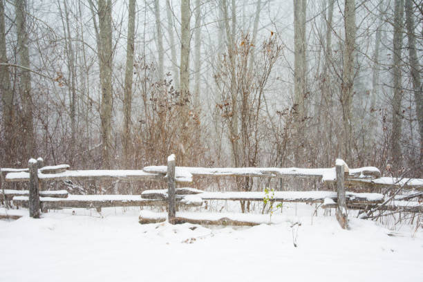 istock Fence to Keep Mother Nature In 641751460