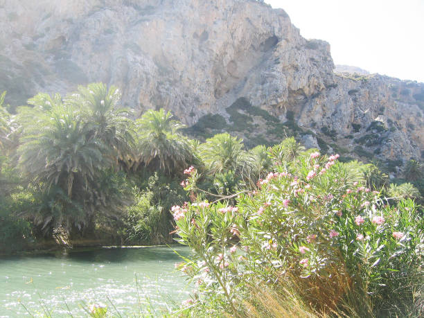 istock The river Megapotamus in mountains Preveli on island Crete 641753662