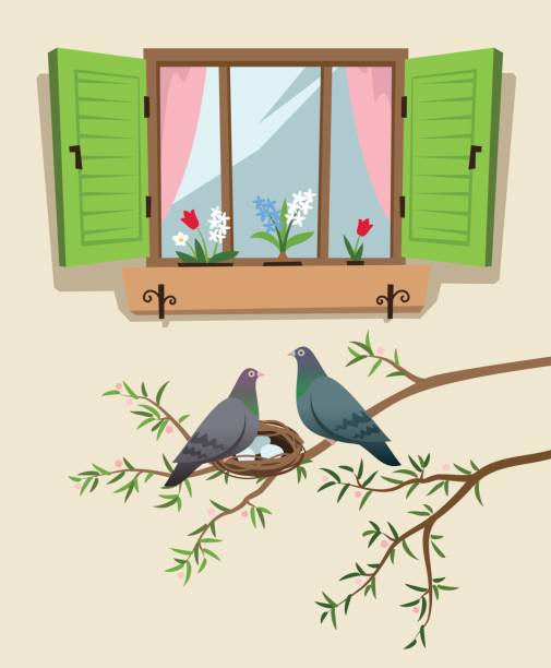 прыгат�ь в воздухе - loving bird love birds nest stock illustrations