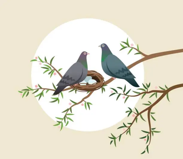 Vector illustration of Birds on the nest