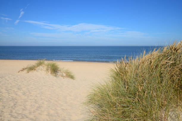 istock Ocean and beach view from sand dunes 641757442