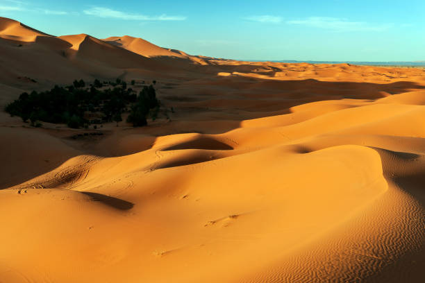 istock Evening at Erg Chebbi Oasis, Morocco, North Africa 641759080