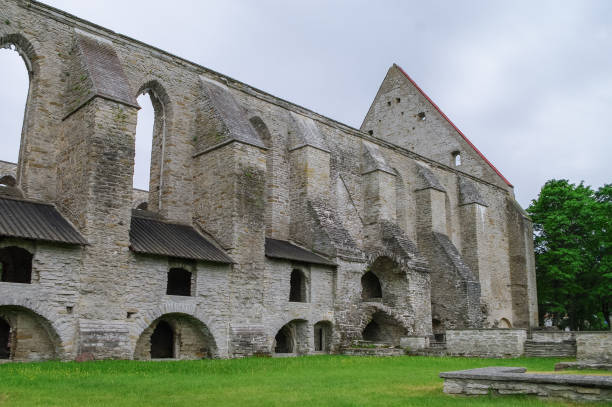 antico convento in rovina di santa brigitta nella regione di pirita, tallinn, estonia - estonia tallinn old ruin ruined foto e immagini stock