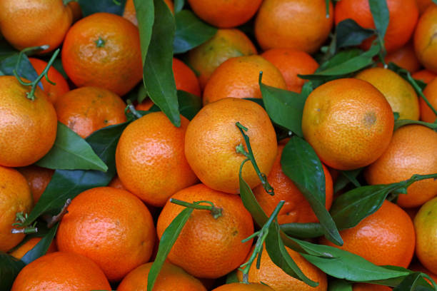 istock Fresh ripe mandarin oranges with green leaves 641762580