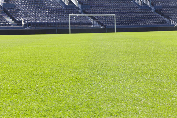 istock Green grass on the football field 641764020