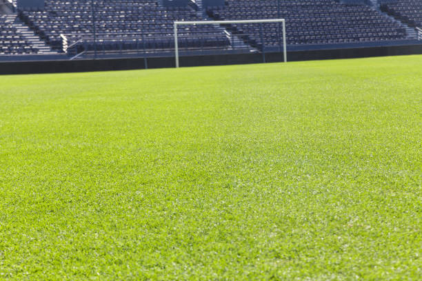 istock Green grass on the football field 641764094