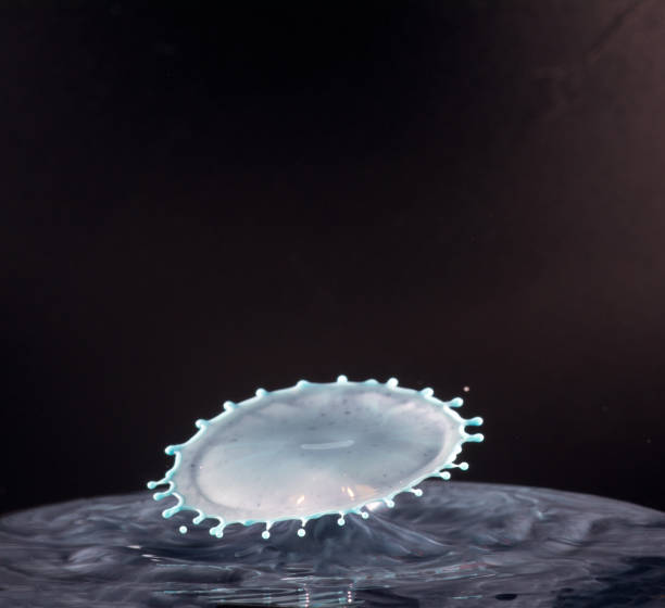 istock Collision of two drops on a surface of water 641764620