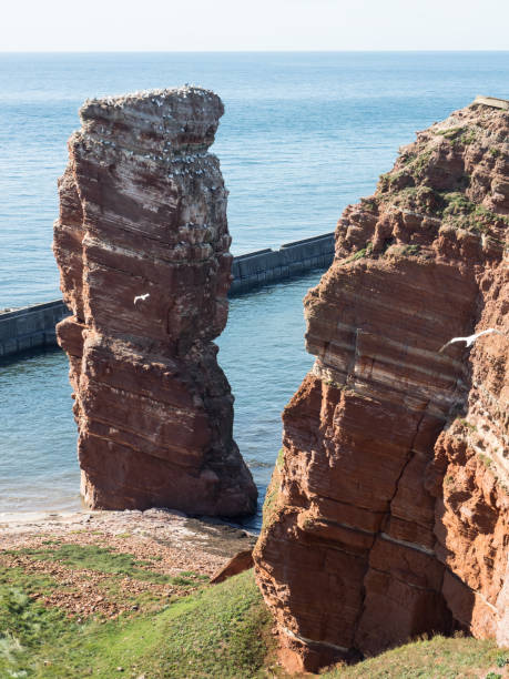 istock helgoland in the north sea 641767808