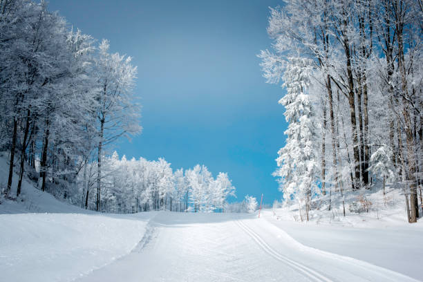 Winter Scene with Cross-Country Skiing Track in Julian Alps stock photo