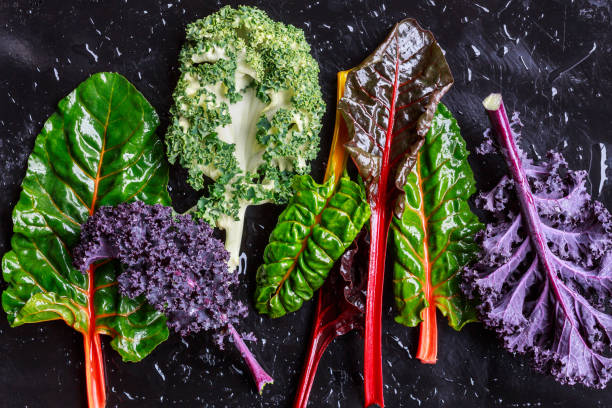 istock Purple Kale and swiss chard 641773026