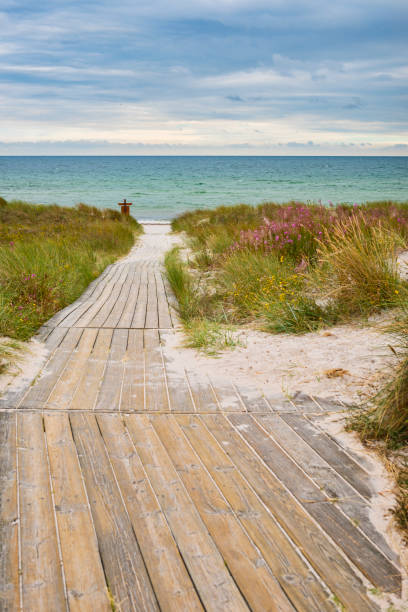 istock Wooden footpath down to Swedish beach 641781574
