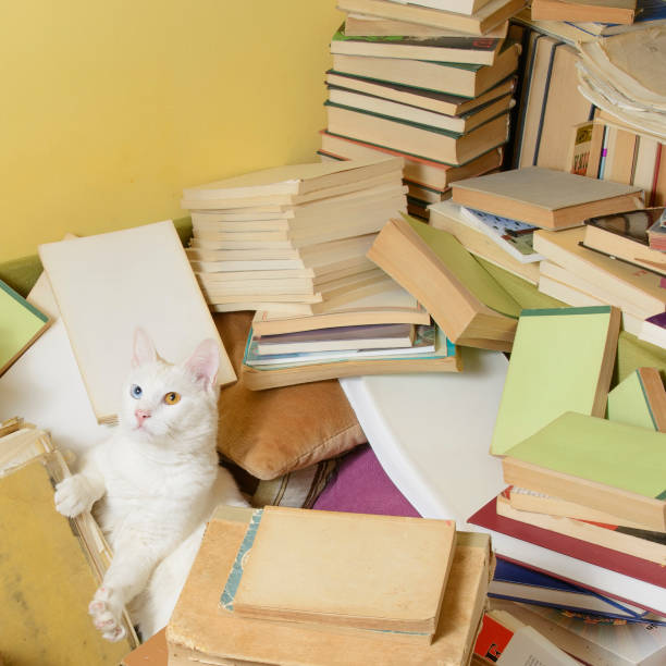istock White cat lying among books, stretching out its paw 641786892